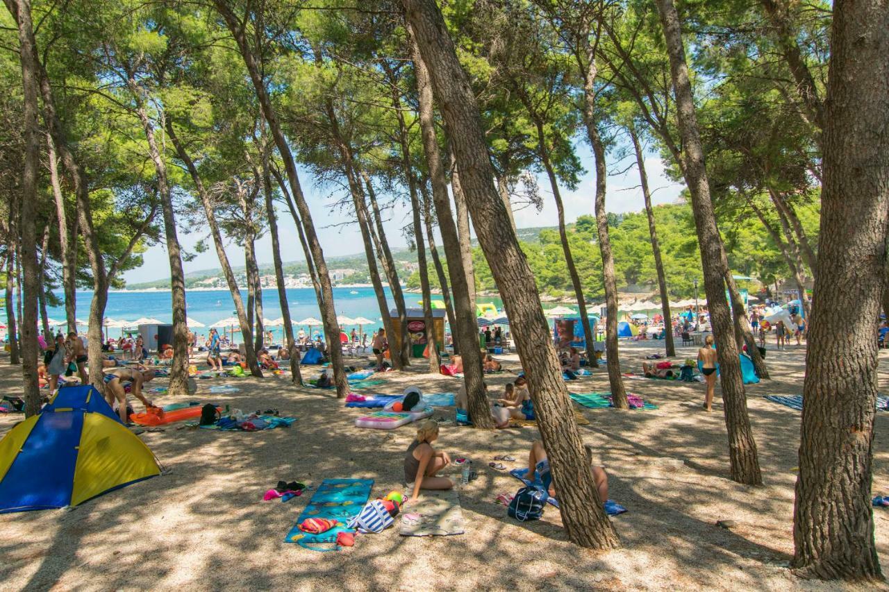 Apartment Palcic Primošten Εξωτερικό φωτογραφία
